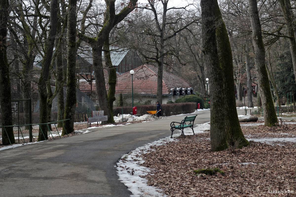 •  Fotó: Haáz Vince