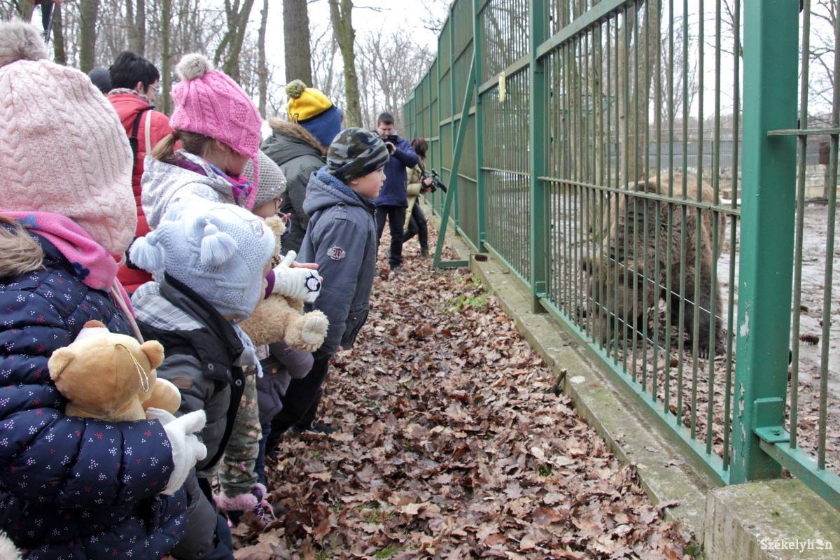 •  Fotó: Haáz Vince