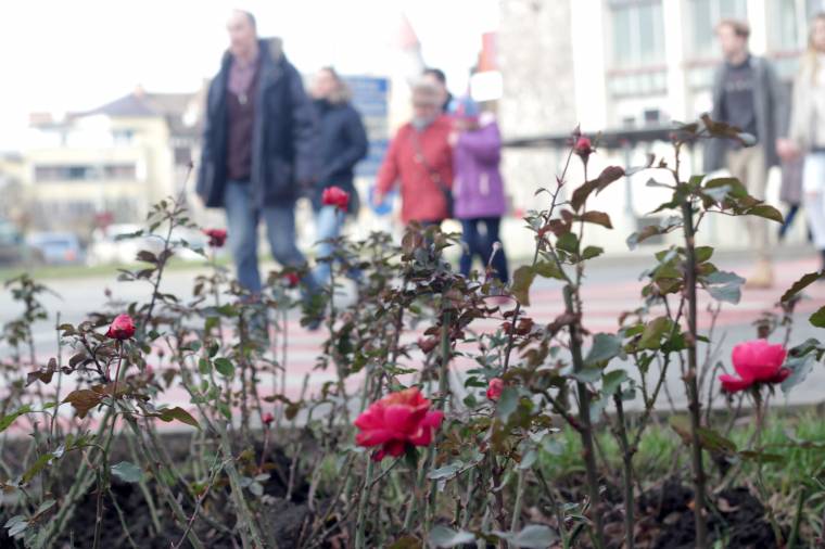 Télből tavasz: 18 Celsius-fok is lehet március közepén