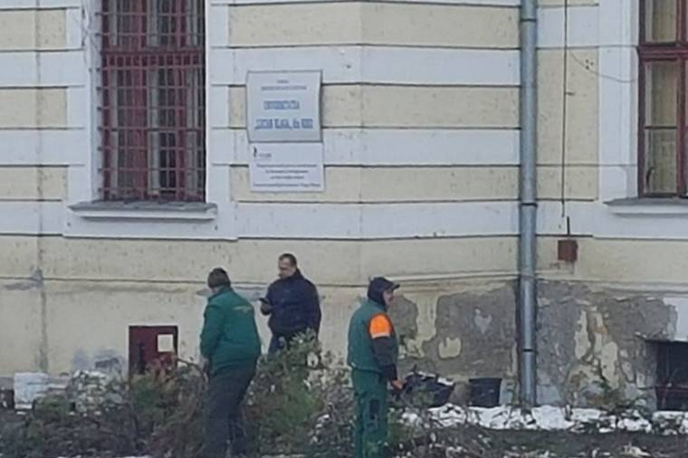 Udvarátalakításra hivatkozva még a megcsonkított fákat is teljesen kivágták