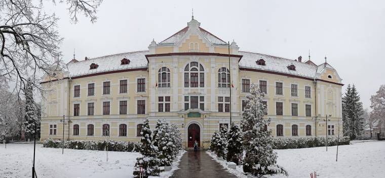 A tulajdonos tudta nélkül csonkították meg az iskola udvarán lévő fasort