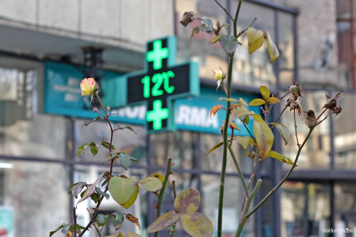 Illusztráció •  Fotó: Haáz Vince