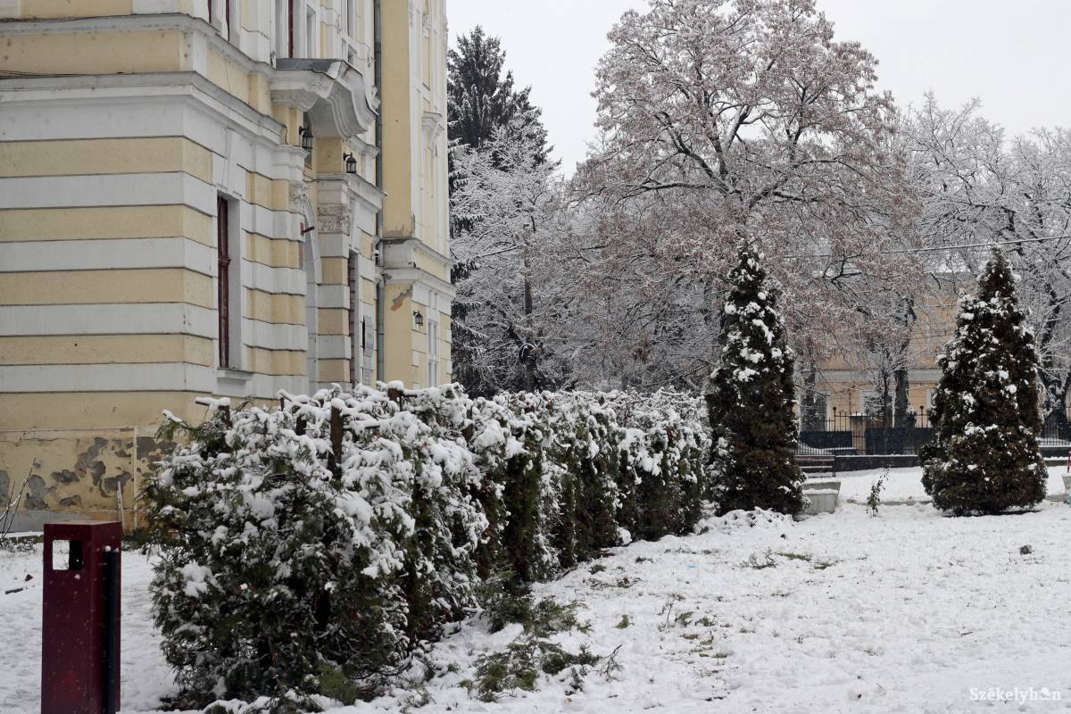 •  Fotó: Haáz Vince