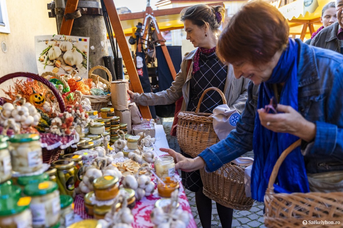 Csak kosárba, ne műanyagtasakba! •  Fotó: Haáz Vince