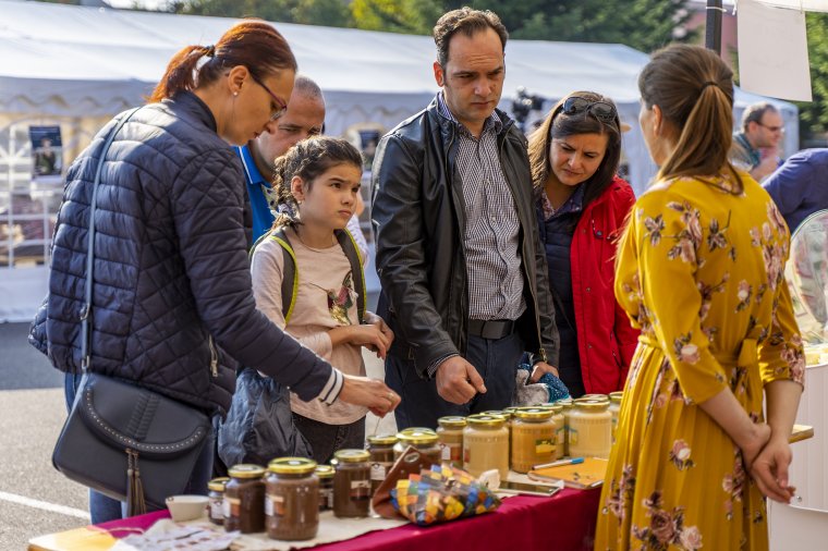 Benépesült a marosvásárhelyi Bolyai-pálya