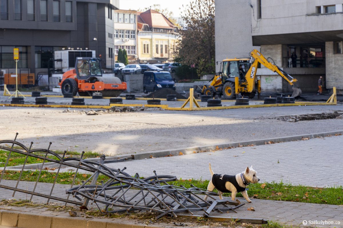•  Fotó: Haáz Vince