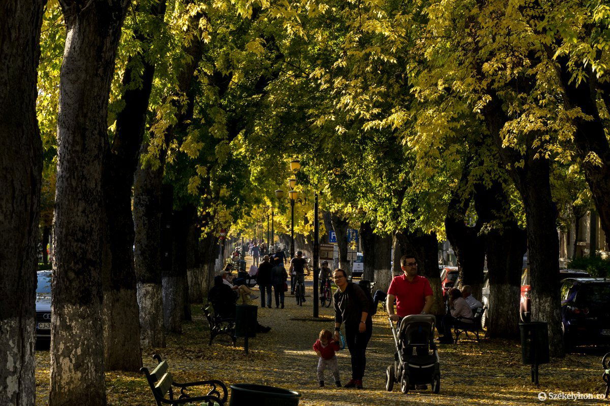 Képünk illusztráció • Fotó: Haáz Vince