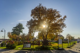 Szeptemberben kánikula? Már meg sem lepődünk