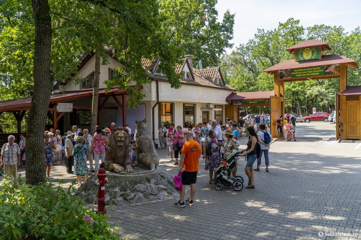 Sokan fényképeződtek a kőoroszlánoknál •  Fotó: Haáz Vince