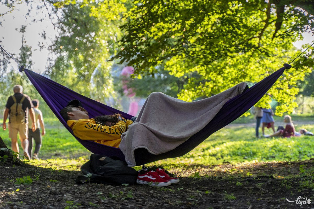 •  Fotó: Haáz Vince