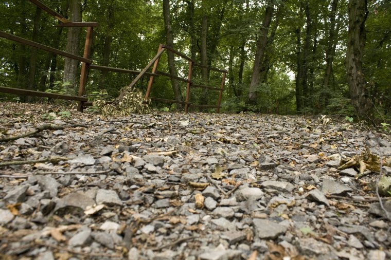 Ötvenezer lejre büntették a vásárhelyi városházát