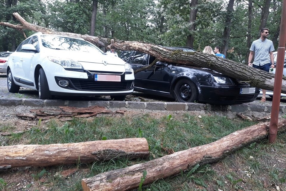 •  Fotó: Info Trafic/Imre Roland Levente