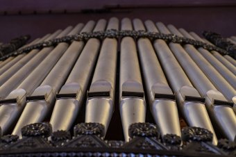 Orgonák éjszakája Sepsiszentgyörgyön és Homoródalmáson