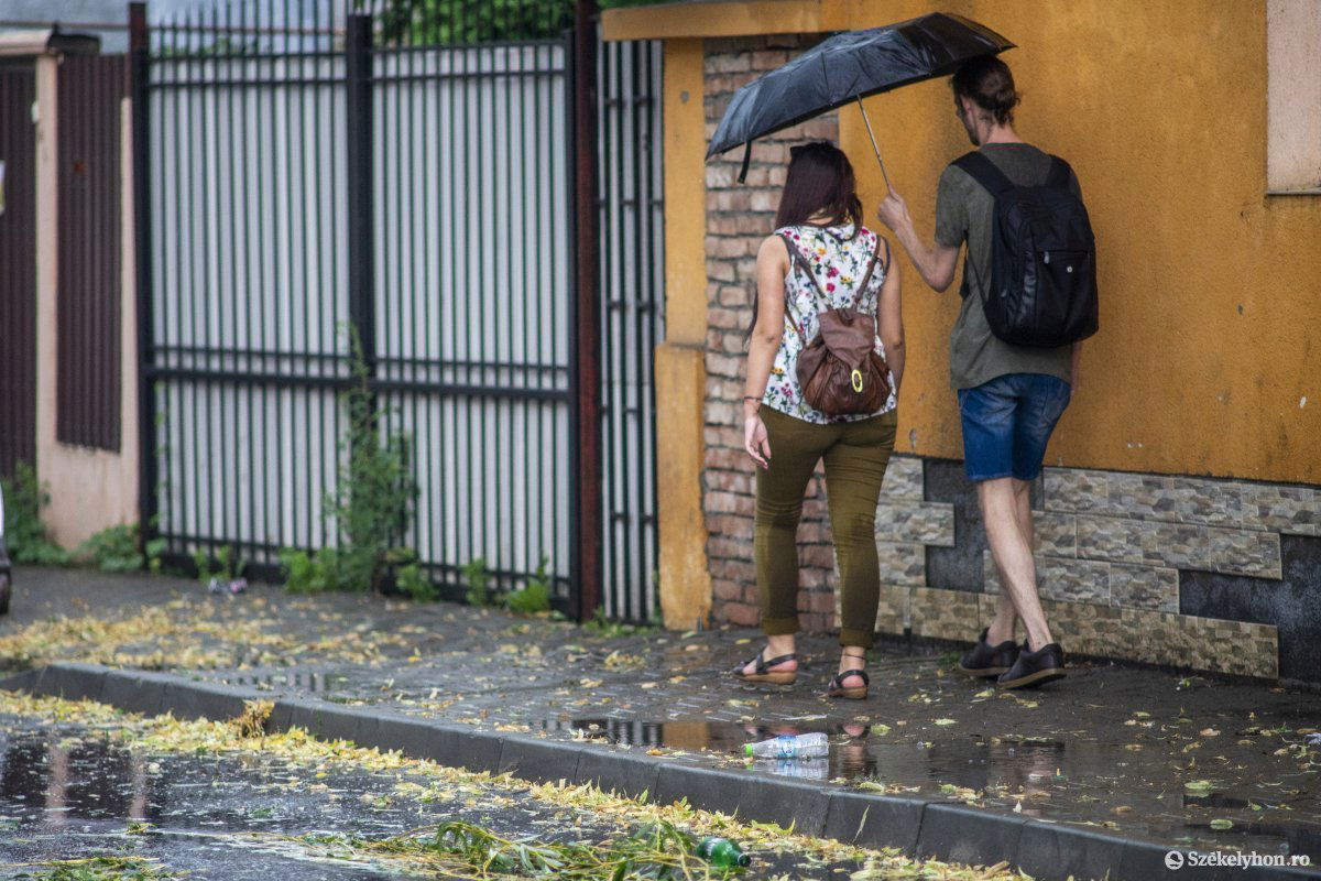 •  Fotó: Haáz Vince