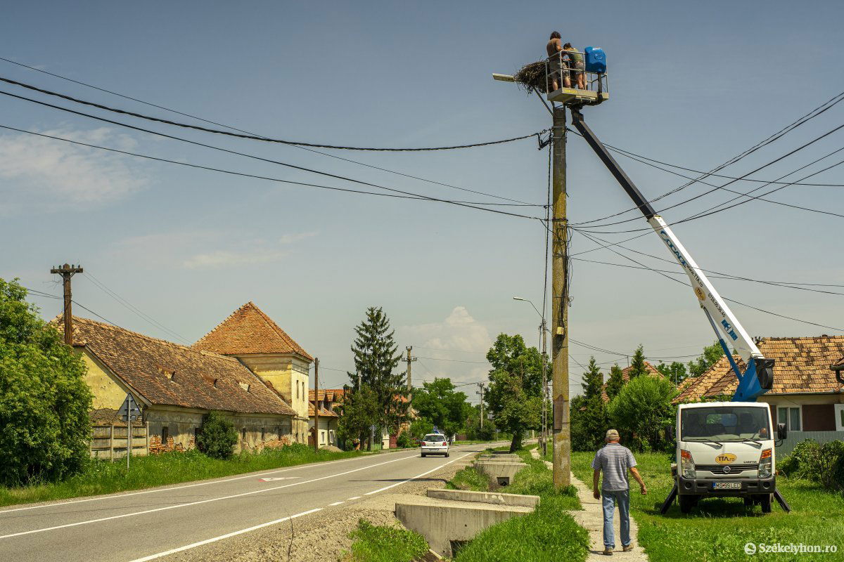 Daru szükséges a munkához •  Fotó: Haáz Vince