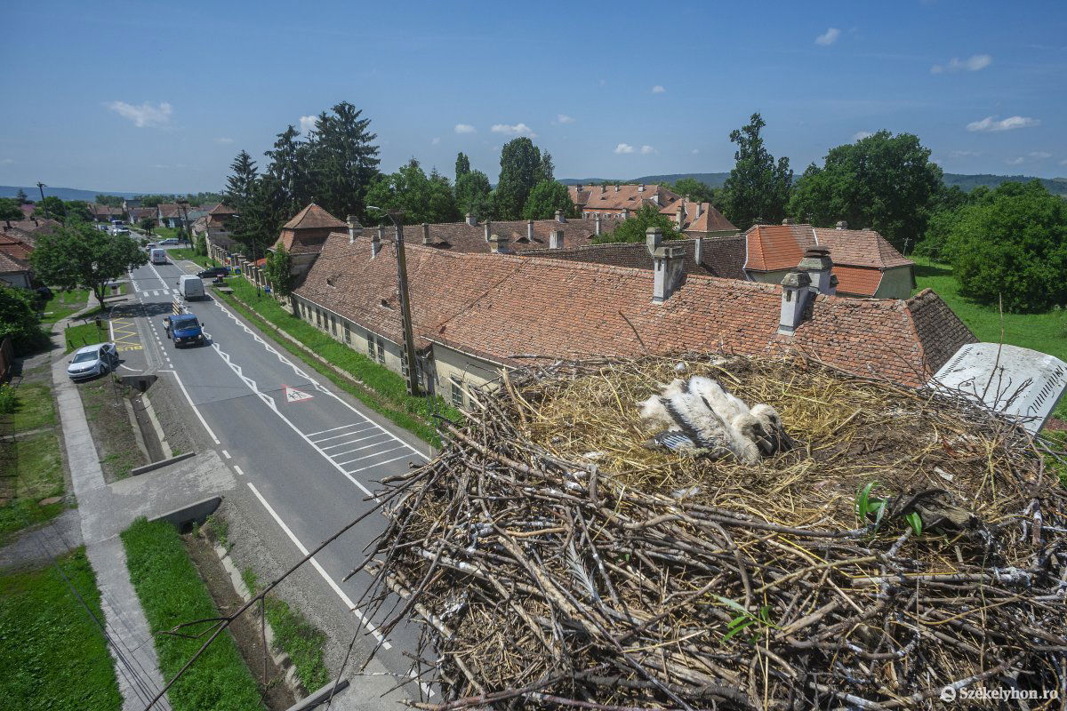 Remélhetőleg hamarosan megérkeznek Sáromberkére is a gólyák. Archív •  Fotó: Haáz Vince