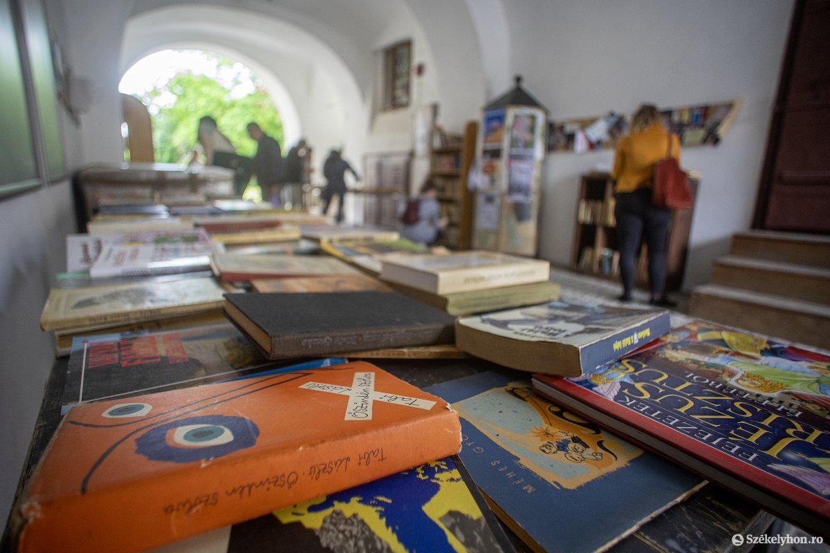 Képünk illusztráció •  Fotó: Haáz Vince