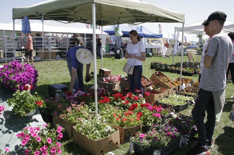 Székely gazdák jutnak magyar állami támogatáshoz: a termelést, feldolgozást és értékesítést szeretnék integrálni
