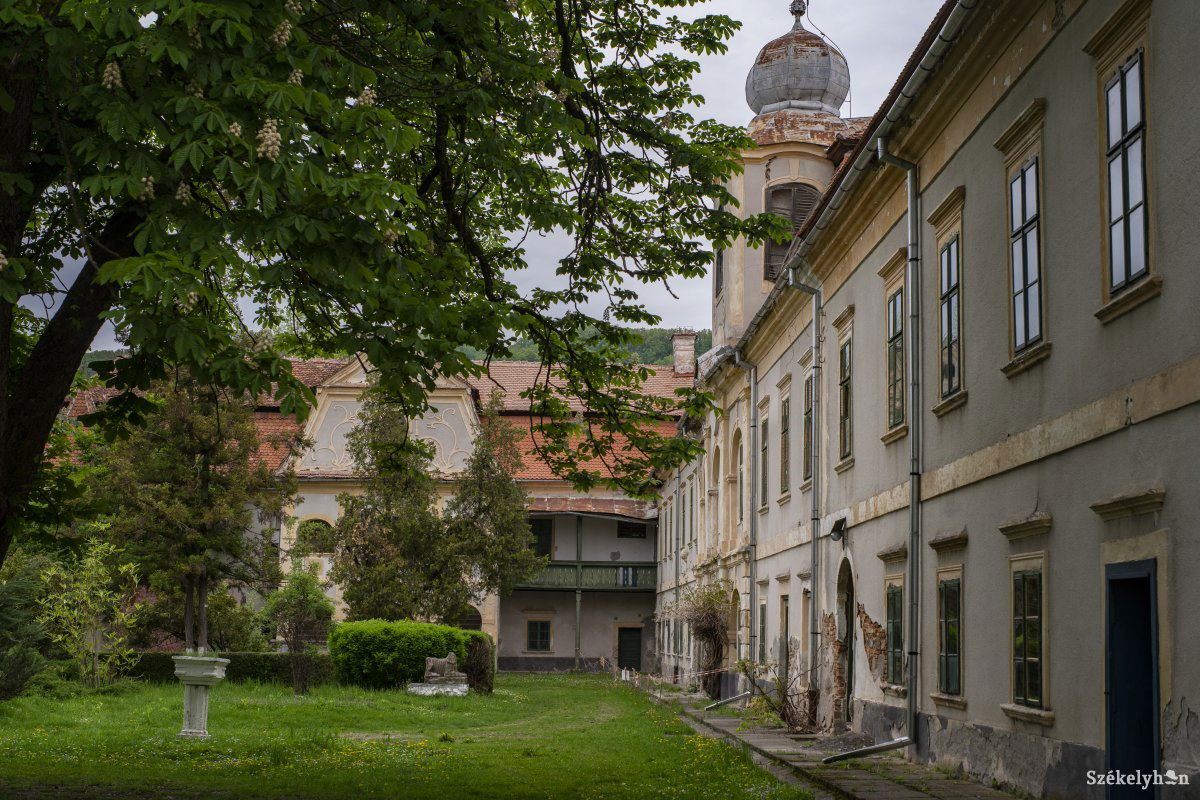 •  Fotó: Haáz Vince