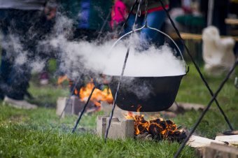 Keresztes Ildikó is fellép a marosvásárhelyiek családi majálisán