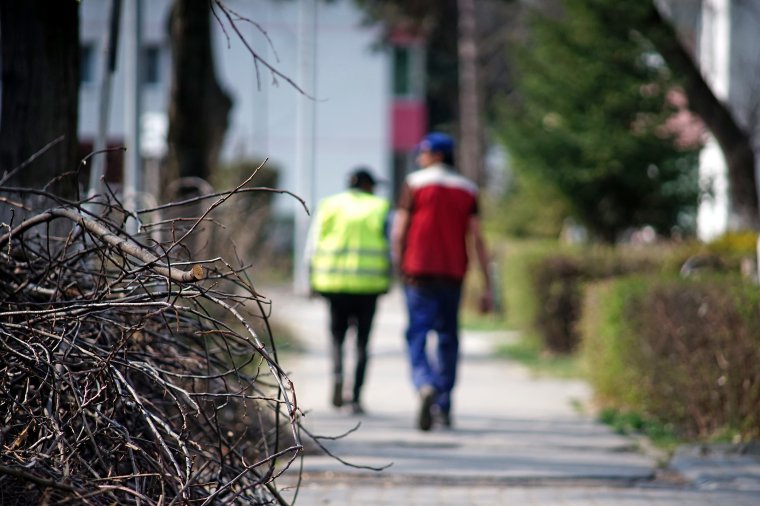Napszámosokat foglalkoztathatnak az önkormányzatok a zöldövezetek karbantartására