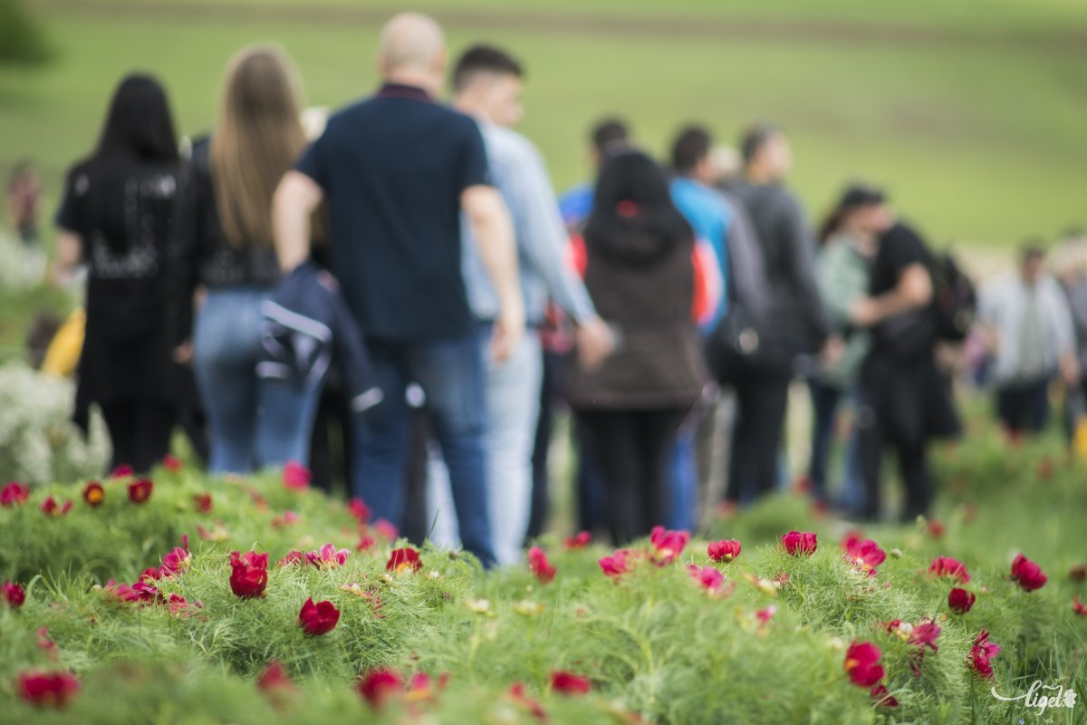 A Mezőség rejtett szépségei iránt egyre többen érdeklődnek •  Fotó: Haáz Vince
