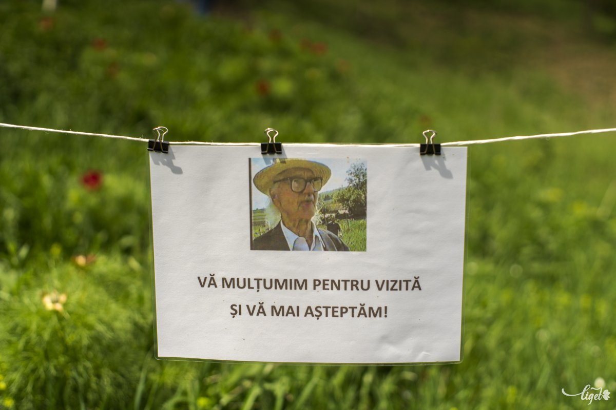 •  Fotó: Haáz Vince