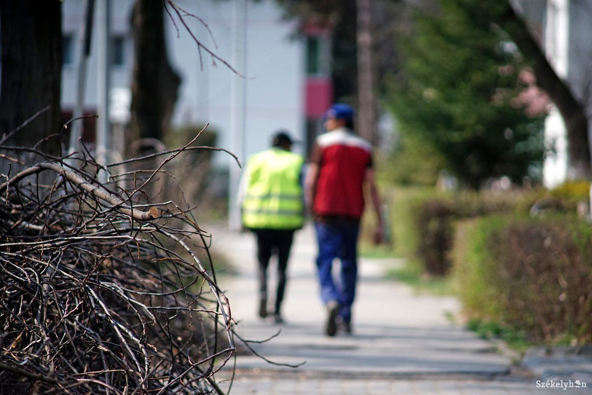 Képünk illusztráció •  Fotó: Haáz Vince