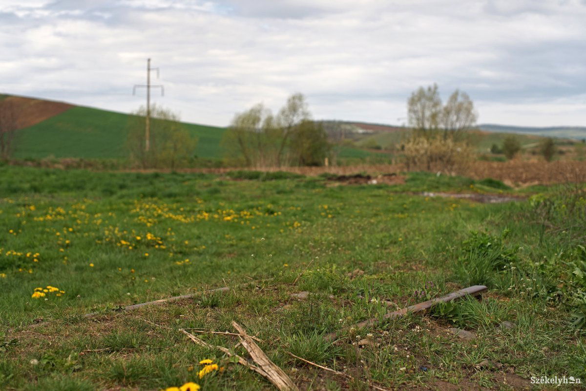 Archív •  Fotó: Haáz Vince