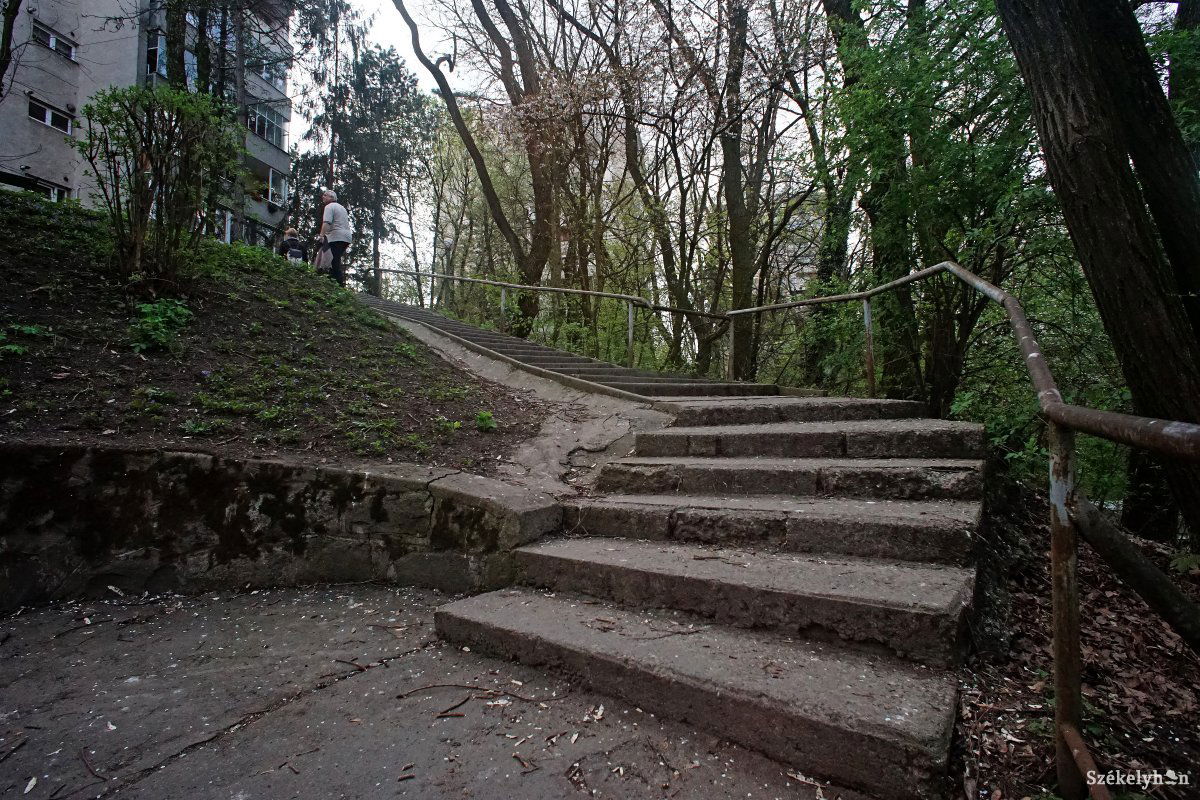 •  Fotó: Haáz Vince