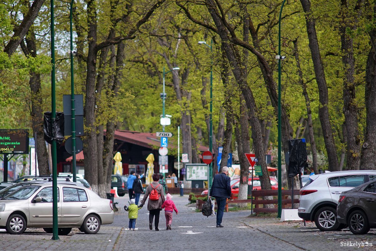 Vakáció van és jó idő, már most is sokan felmennek a Somostetőre •  Fotó: Haáz Vince