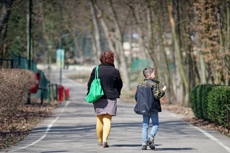 Benyújtotta felmondását az állatkert igazgatója