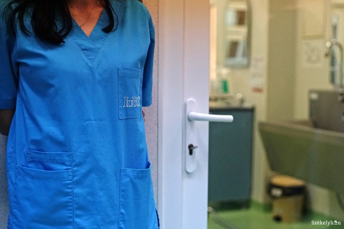 Kegyes hozzáállás. Ludovic Orban szerint minden orvosra, ápolóra, szakképzett személyzetre szükség van &bullet;  Fotó: Haáz Vince