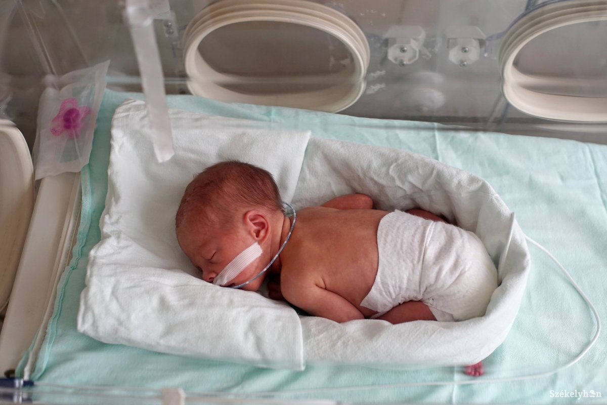 A Maros megyei sürgősségi kórház neonatológiai intenzív osztályán 2023-ban 256 koraszülött csecsemőt ápoltak •  Fotó: Haáz Vince
