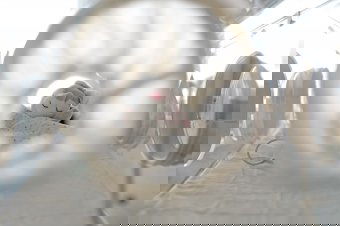 Meghalt hat csecsemő a jászvásári gyermekkórházban