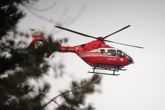 Két munkásra dőlt egy fa, egyiküket eszméletlen állapotban szállították kórházba
