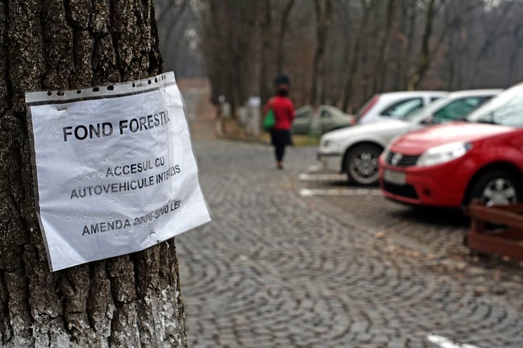 Felszámolhatják a somostetői parkban kialakított létesítményeket?