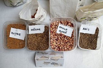 Magbörzére várják a csíkiakat