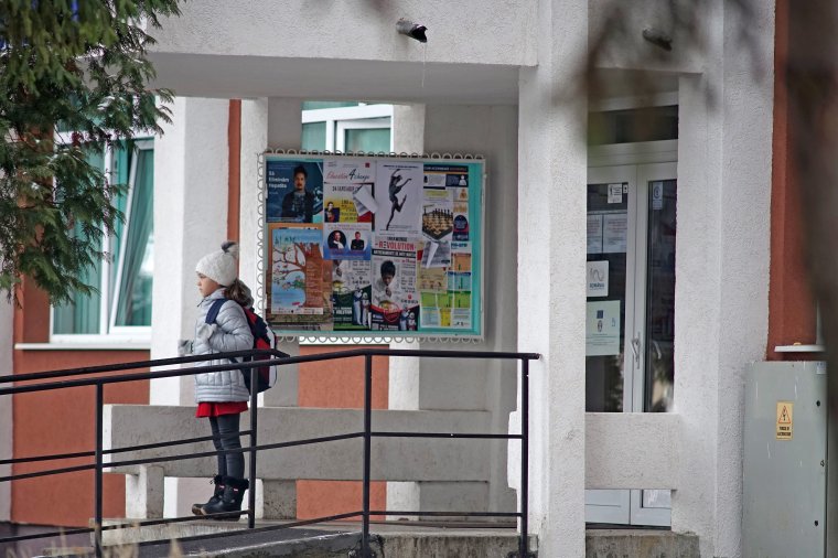 Egyelőre nem függesztik fel a tanítást az influenzavírus miatt Hargita és Maros megyében