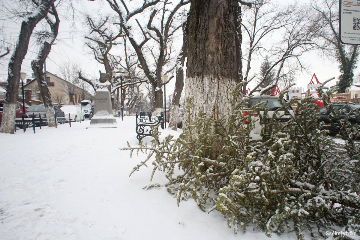 A vízkereszti népszokásokból mára jobbára csak annyi maradt meg, hogy ekkor szedik le a karácsonyfát •  Fotó: Haáz Vince