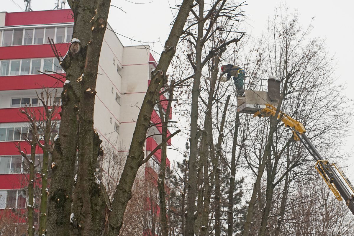 •  Fotó: Haáz Vince