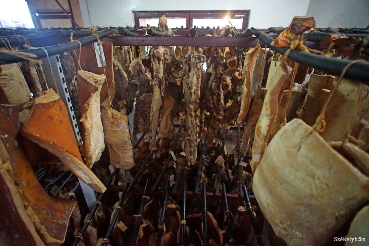 &bullet;  Fotó: Haáz Vince