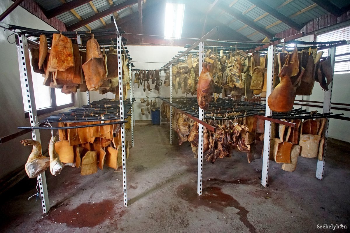 Visszaesett a disznóvágások száma, kevesebb szalonna került
tavaly a füstre &bullet;  Fotó: Haáz Vince