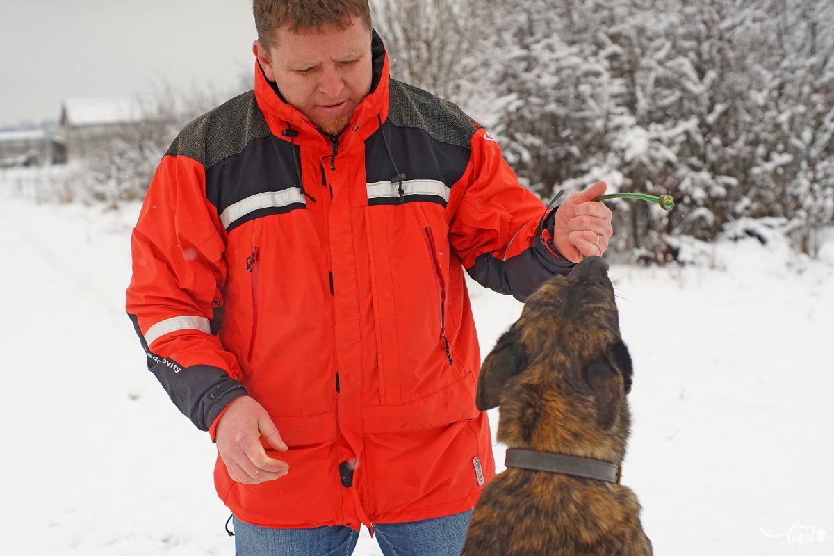 Kovács Róbert és mentőkutyája, Tas. Archív • Fotó: Haáz Vince