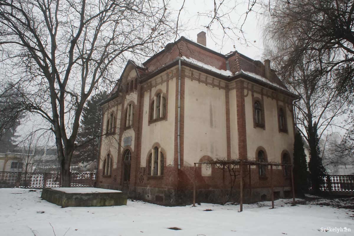 •  Fotó: Haáz Vince