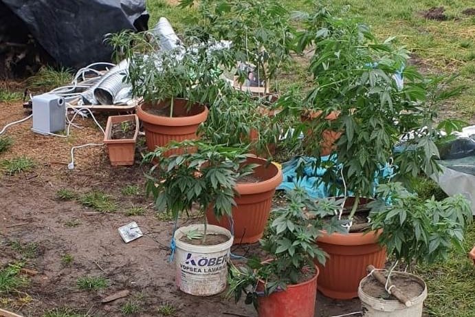 Tűzijátékot kerestek, kábítószert is találtak