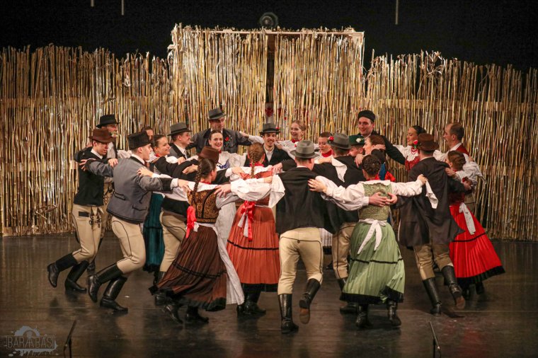 Elővigyázatosan, de nyitnak a kulturális intézmények