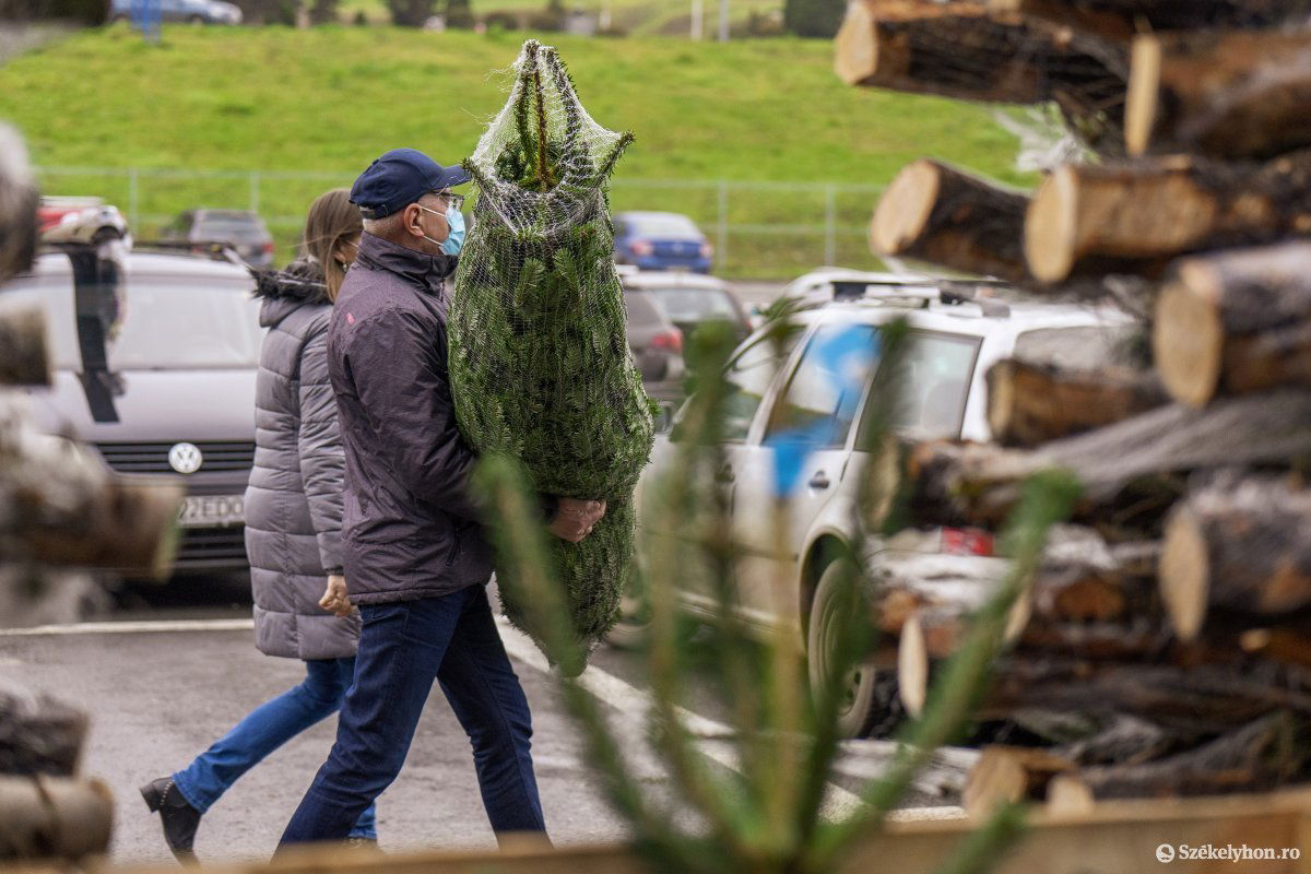 &bullet;  Fotó: Haáz Vince