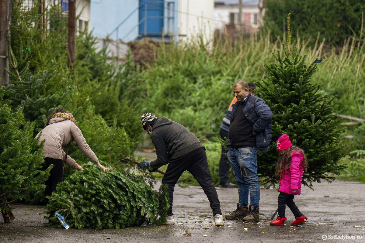 &bullet;  Fotó: Haáz Vince