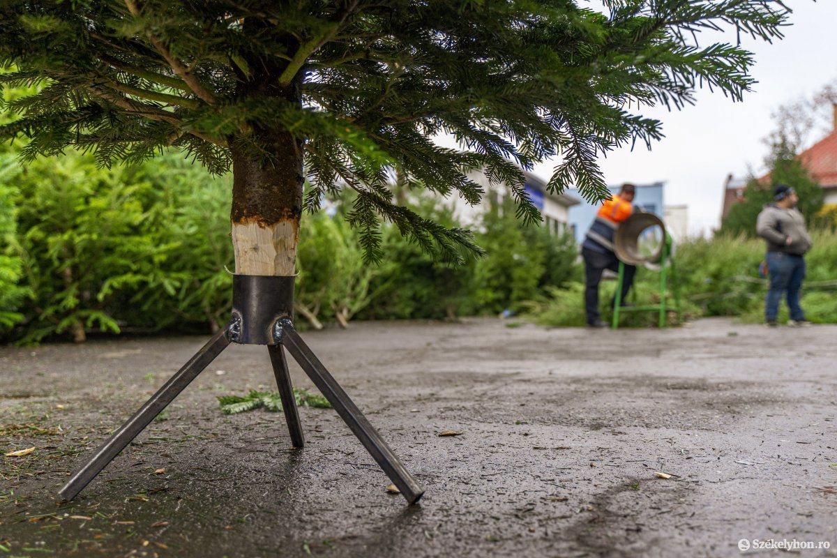 &bullet;  Fotó: Haáz Vince